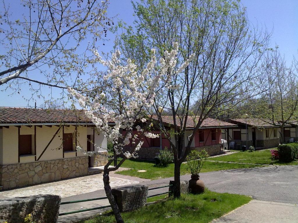 Camping Al-Bereka La Alberca  Δωμάτιο φωτογραφία